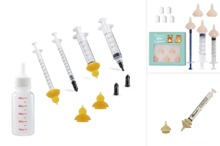 Detailed view of Best Nipple Flow Rate Kitten Feeding